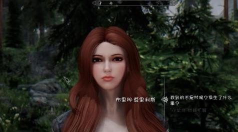 上古卷轴5：天际MOD：人物美化 NPC美化头替换 V2.4