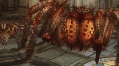 上古卷轴5：重置版MOD：朴素的寒霜蜘蛛特制版
