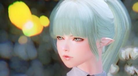 上古卷轴5：天际MOD：美少女精灵随从【花BAN】身形补丁 UUNP