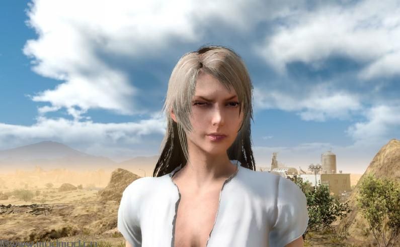 最终幻想15MOD：Stella Nox Fleuret - Noctis