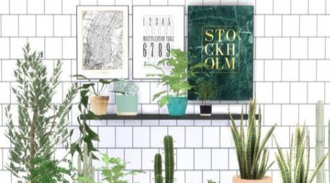 模拟人生4MOD： 花植物27