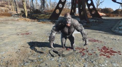 辐射4MOD：废土金刚 Expand Dong - Dogmeat is Gorilla
