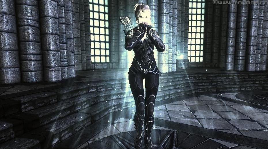 上古卷轴5：天际MOD：YY Anim Replacer v1.1.0（YY的动作替换）