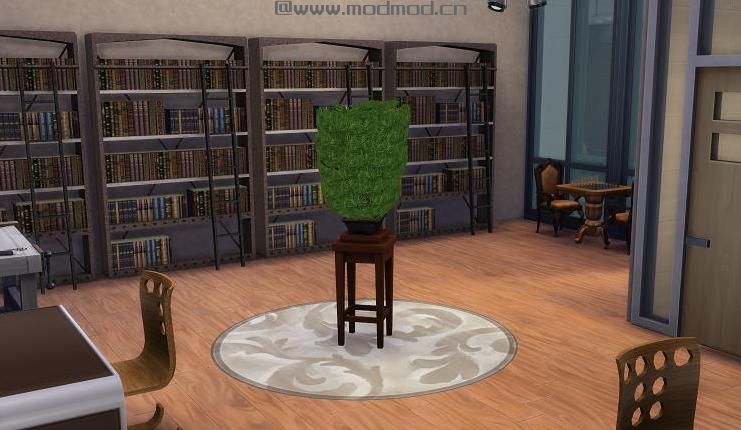 海边十一号之一辈子的家