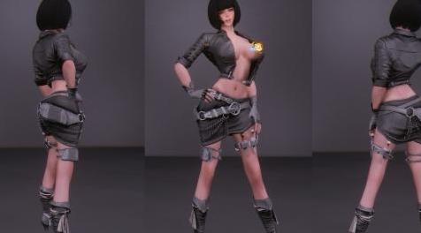 上古卷轴5：天际MOD：Rogue Armor【含UUNP BodySlide数据】