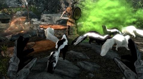 上古卷轴5：重置版MOD：浣熊、臭鼬、同伴和军队