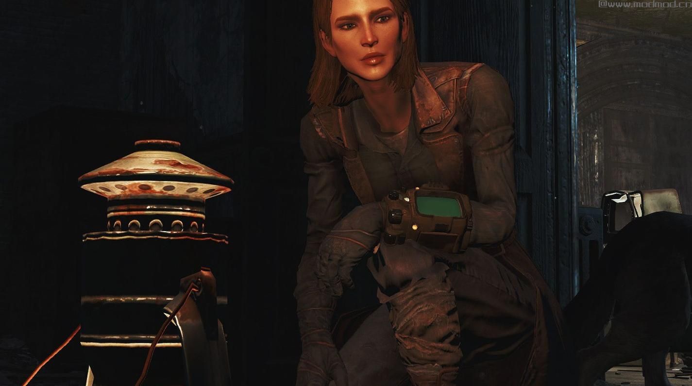 辐射4MOD：皮肤美化