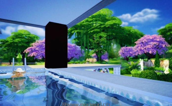 淡雅出品----春暖阁 30*40 有自制壁纸 泳池多多