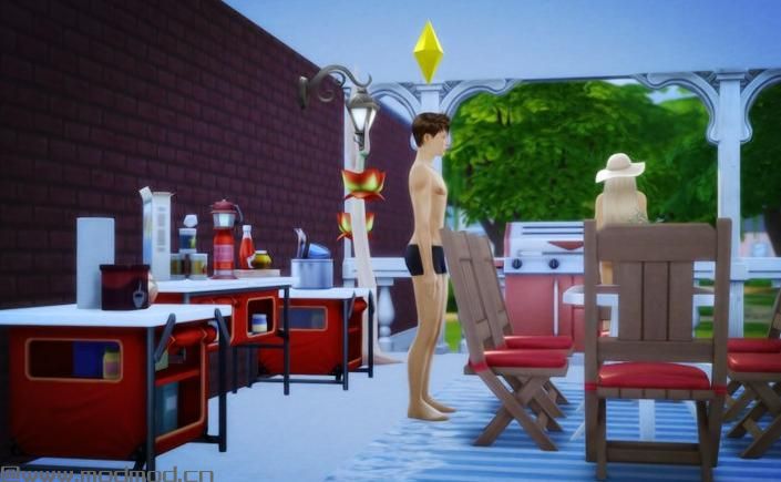 【3DM-Sims小组】淡雅出品----【度假别墅】