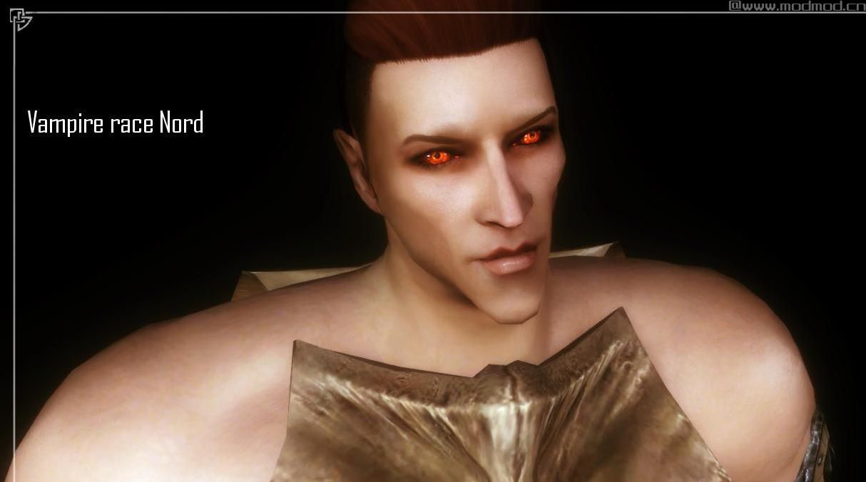 上古卷轴5：重置版MOD：男性人脸纹理