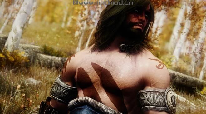 上古卷轴5：重置版MOD：我的鹰和高贵的野蛮人跟随者