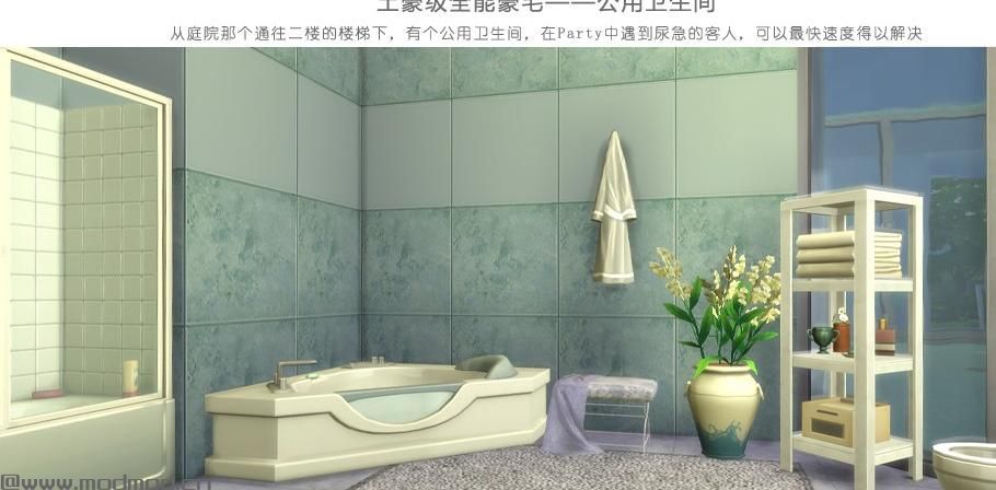 50X50 价值62万土豪级全能豪宅