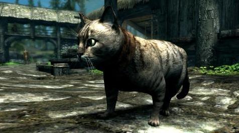 上古卷轴5：重置版MOD：家猫-米哈伊尔怪兽和动物(米冰雹沉浸式附加-宠物-巫婆)
