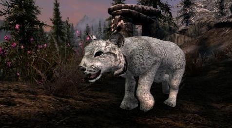 上古卷轴5：重置版MOD：灵便猎豹和米洛登-米哈伊尔怪兽和动物(米海尔浸没式附加物-巨型动物)