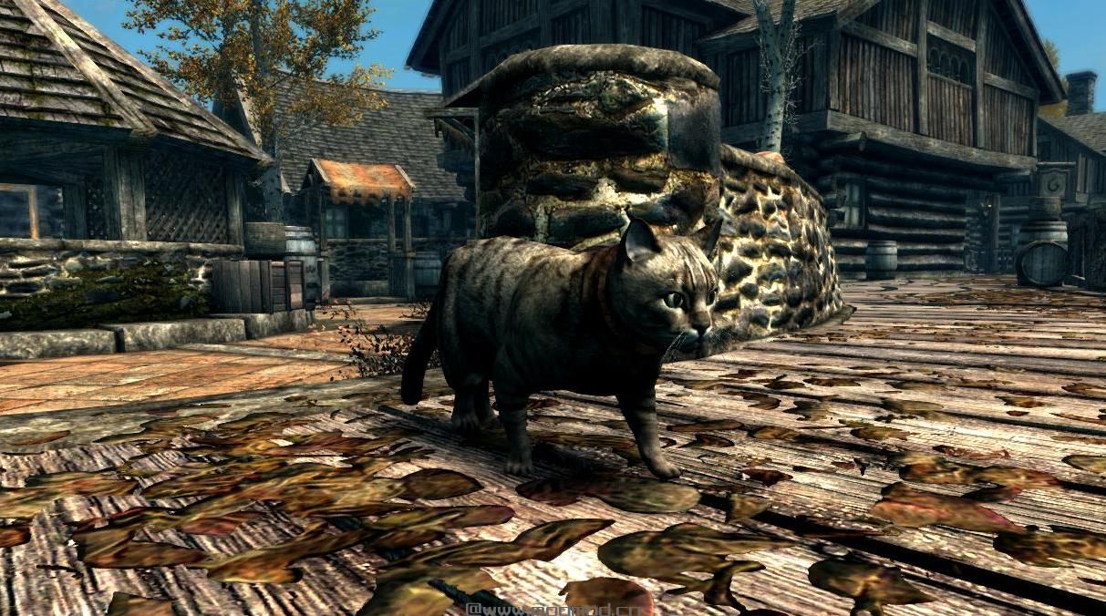 上古卷轴5：重置版MOD：家猫-米哈伊尔怪兽和动物(米冰雹沉浸式附加-宠物-巫婆)