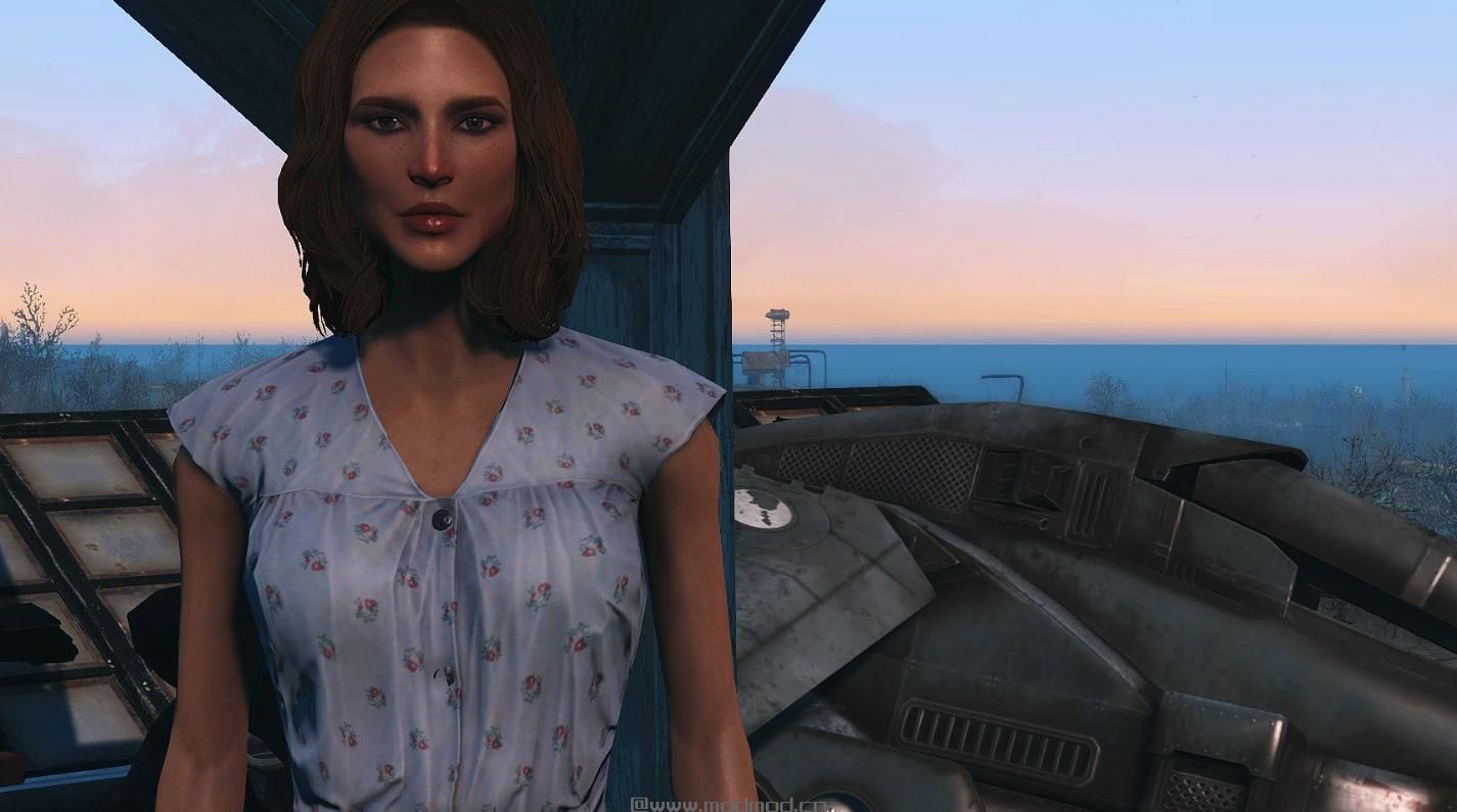 辐射4MOD：皮肤美化