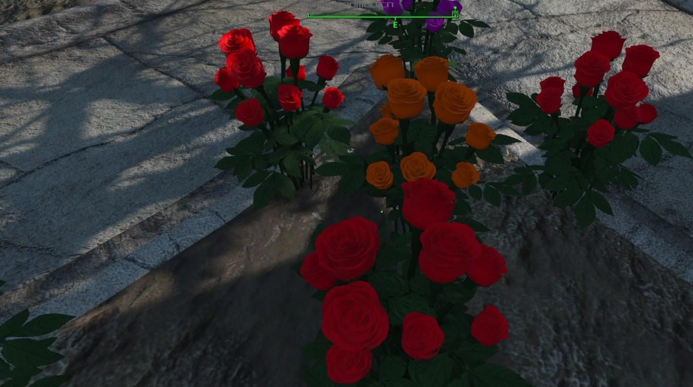 辐射4MOD：Taters and Tamaters土豆番茄草莓蕨菜和玫瑰种植