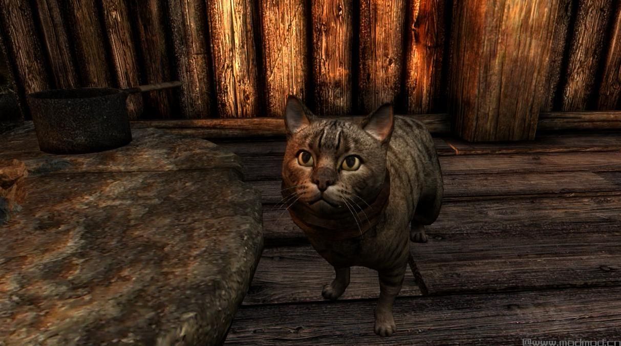 上古卷轴5：重置版MOD：家猫-米哈伊尔怪兽和动物(米冰雹沉浸式附加-宠物-巫婆)