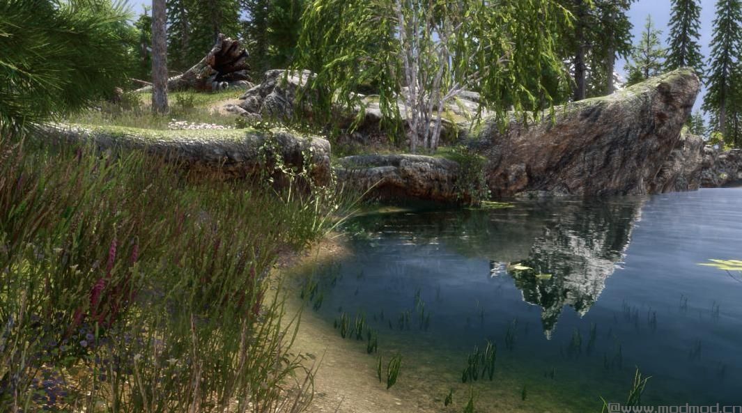 上古卷轴5：重置版MOD：光滑水纹理