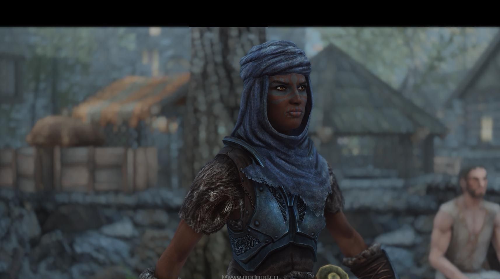 上古卷轴5：重置版MOD：超现实ENB