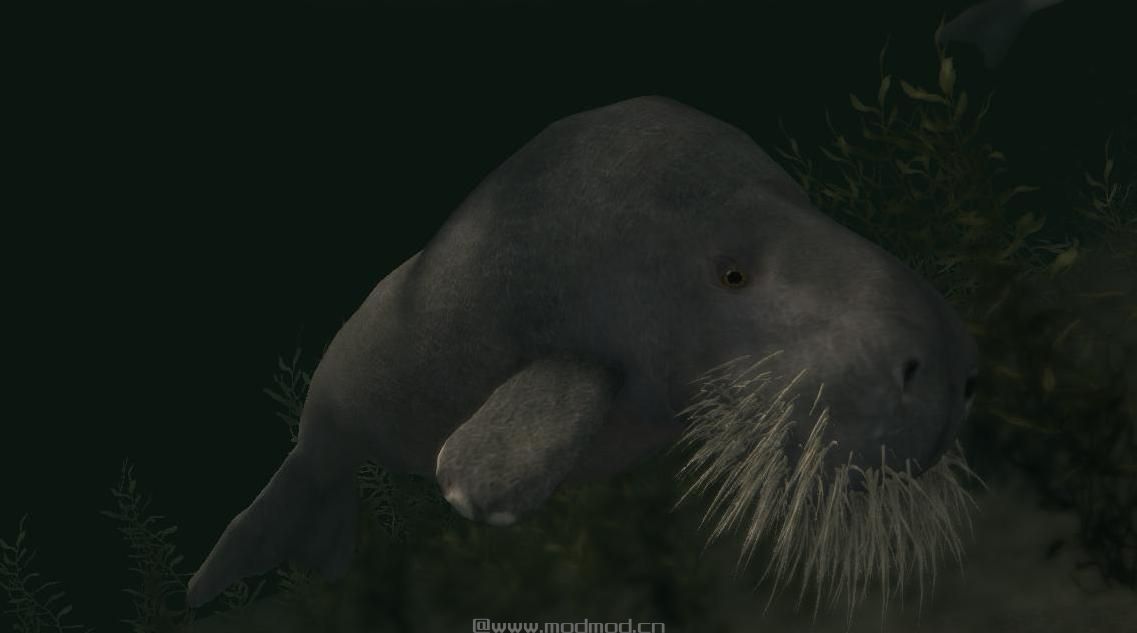 上古卷轴5：重置版MOD：杜公和海牛-米哈伊尔怪兽和动物(米冰雹浸没式附加物-巨型动物-海洋生物)