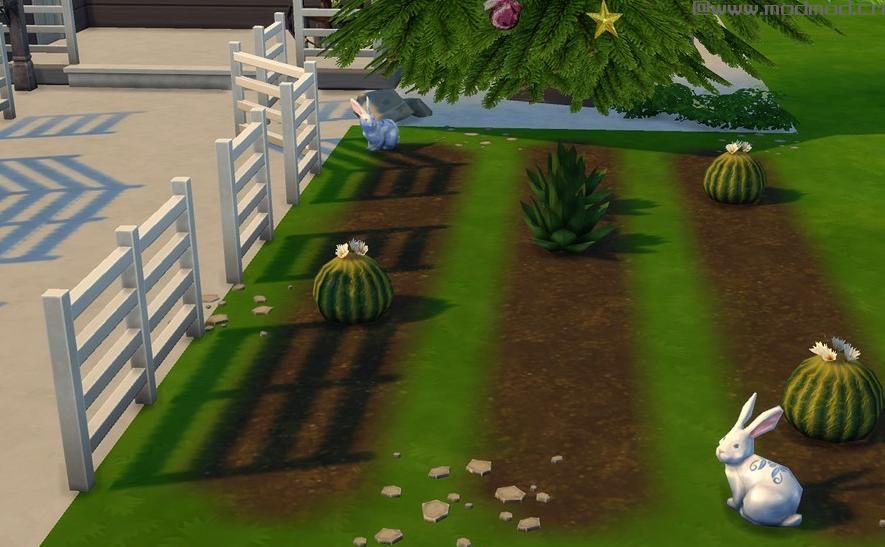 圣 诞 小 木 屋 初 雪