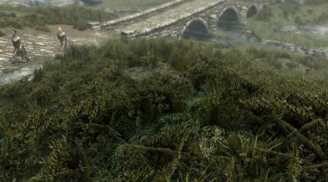 上古卷轴5：重置版MOD：苔原质地移植(绿色白纹苔原)