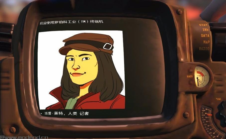 Visible Companion Affinity v4.14(同伴亲密度数字化显示)修正麦奎迪态度翻译