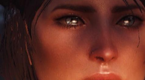 辐射4MOD：瓦尔基里女性脸部和身体的纹理