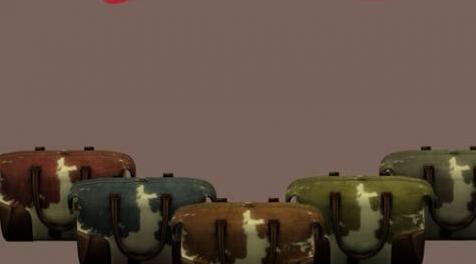 模拟人生4MOD：包包2