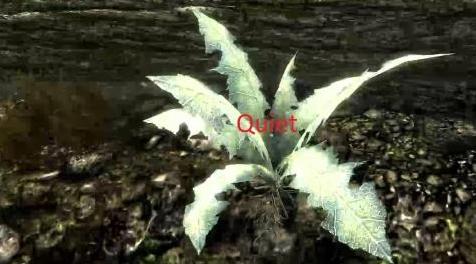 上古卷轴5：重置版MOD：无Nirnroot声音SE