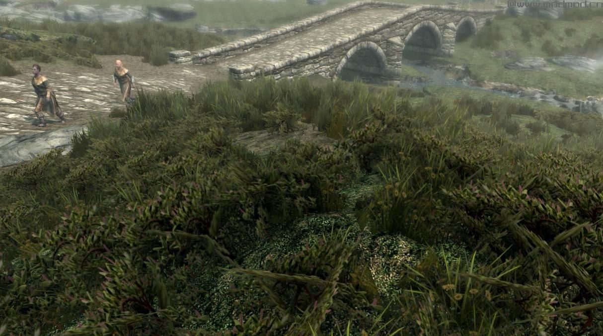 上古卷轴5：重置版MOD：苔原质地移植(绿色白纹苔原)