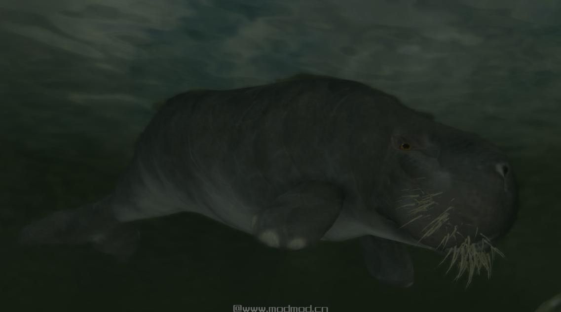 上古卷轴5：重置版MOD：杜公和海牛-米哈伊尔怪兽和动物(米冰雹浸没式附加物-巨型动物-海洋生物)