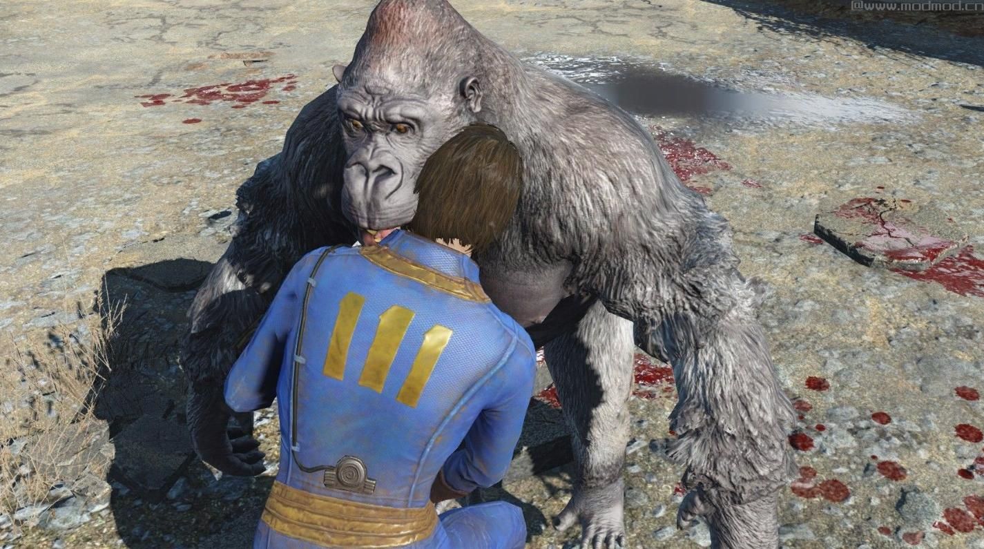 辐射4MOD：废土金刚 Expand Dong - Dogmeat is Gorilla