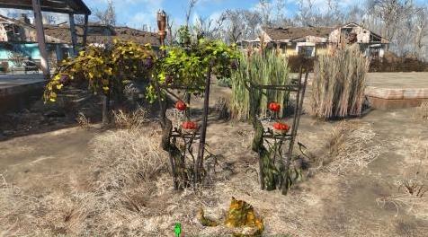 辐射4MOD：【汉化】野生作物种植1.3 Wild Plants Farming