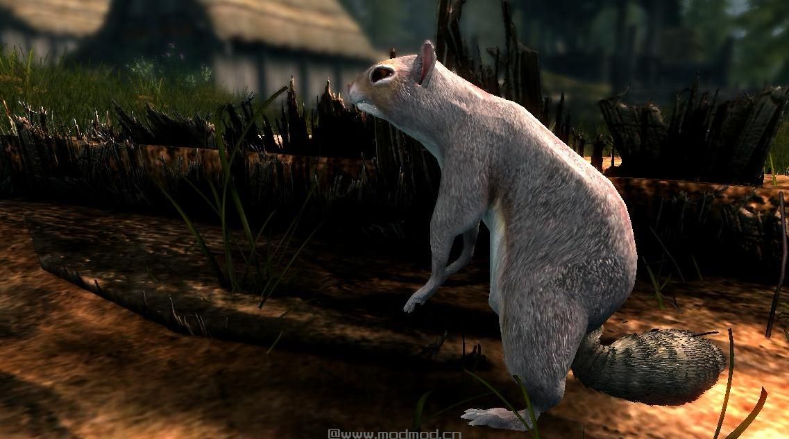 上古卷轴5：重置版MOD：松鼠-米哈伊尔怪兽和动物(米冰雹浸入式附加物-啮齿类动物-)
