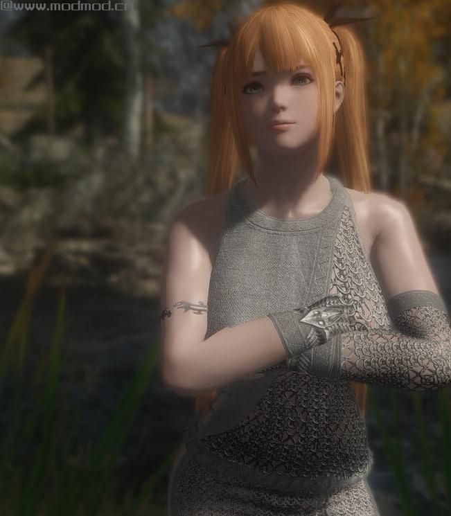 上古卷轴5：天际MOD：韩网120条独立语音随从玛丽萝丝更新