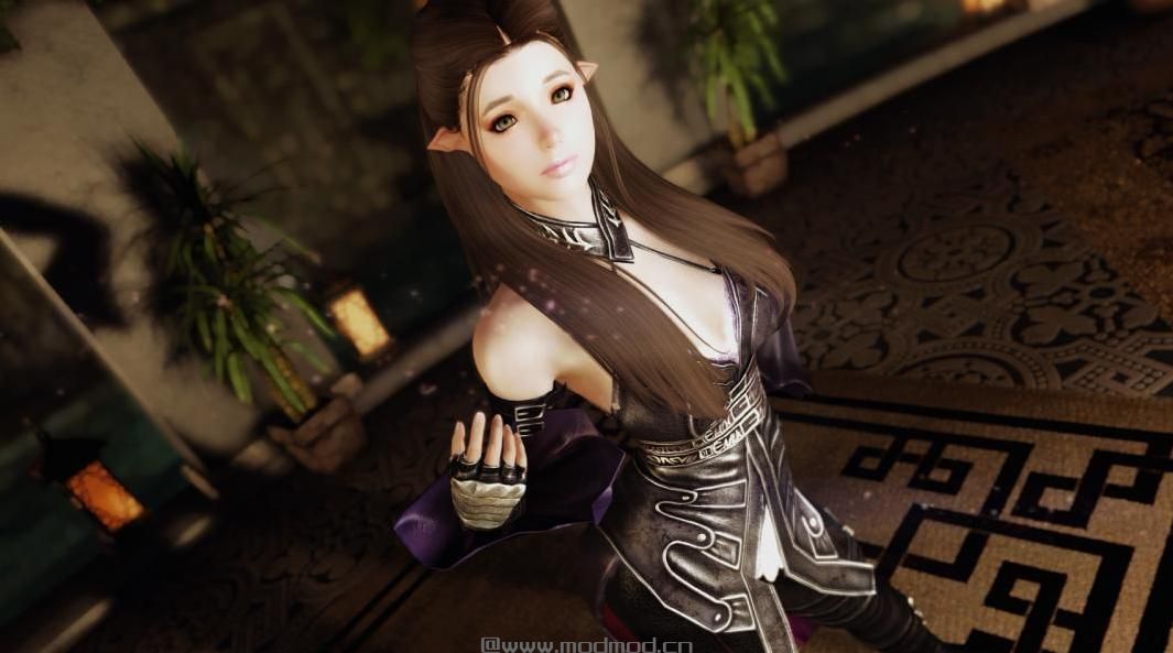 上古卷轴5：重置版MOD：吸血鬼皮革护甲-CBBE上半身滑道