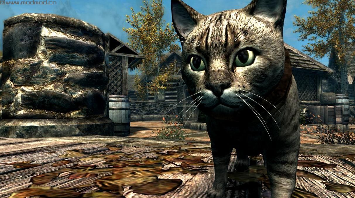上古卷轴5：重置版MOD：家猫-米哈伊尔怪兽和动物(米冰雹沉浸式附加-宠物-巫婆)