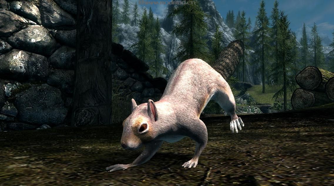 上古卷轴5：重置版MOD：松鼠-米哈伊尔怪兽和动物(米冰雹浸入式附加物-啮齿类动物-)