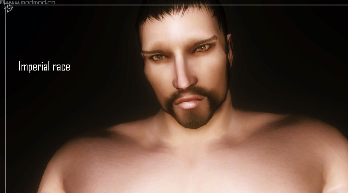 上古卷轴5：重置版MOD：男性人脸纹理