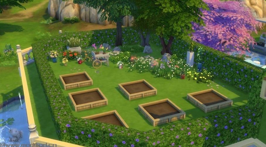 【弥花小筑】50X50，室内花园，空中花园，钓鱼池，对称设计~