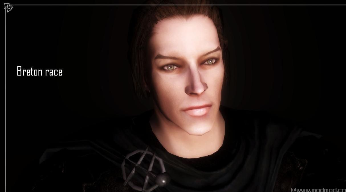 上古卷轴5：重置版MOD：男性人脸纹理