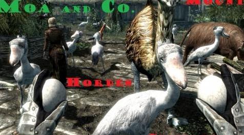 上古卷轴5：重置版MOD：Moa and Co.成群-跟随者和山SE