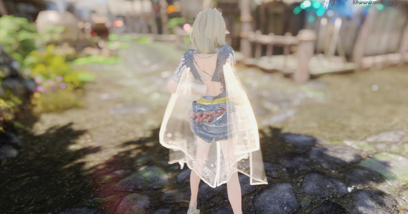 上古卷轴5：天际MOD：黑色沙漠 Ranger Anemos
