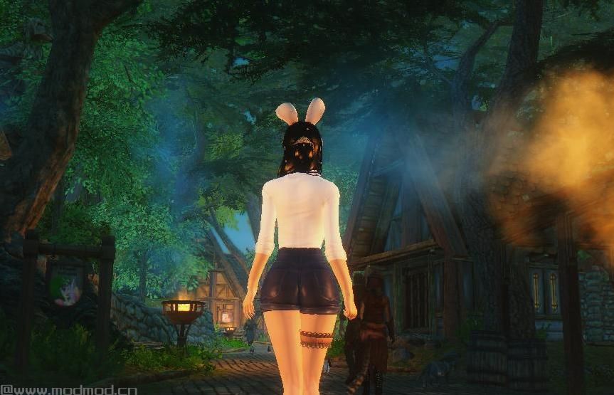 上古卷轴5：天际MOD：【ELE_Lite_v0_95b】与ELFX一样巨有名气的光照修正