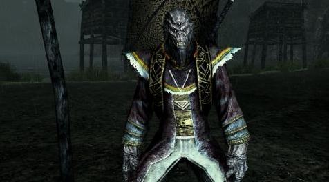 上古卷轴5：重置版MOD： Akavir DV的诅咒