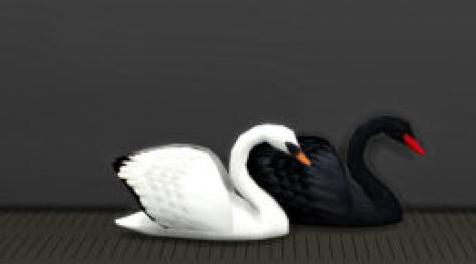 模拟人生4MOD：天鹅