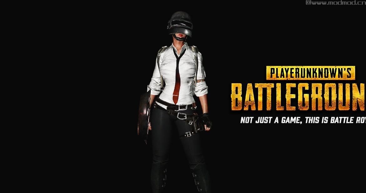 上古卷轴5：天际MOD：PUBG Outfit by NSUT 超赞的绝地求生&middot;全套装束
