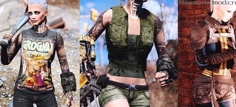 辐射4MOD：[汉化] 可制造的盆栽 v1.2